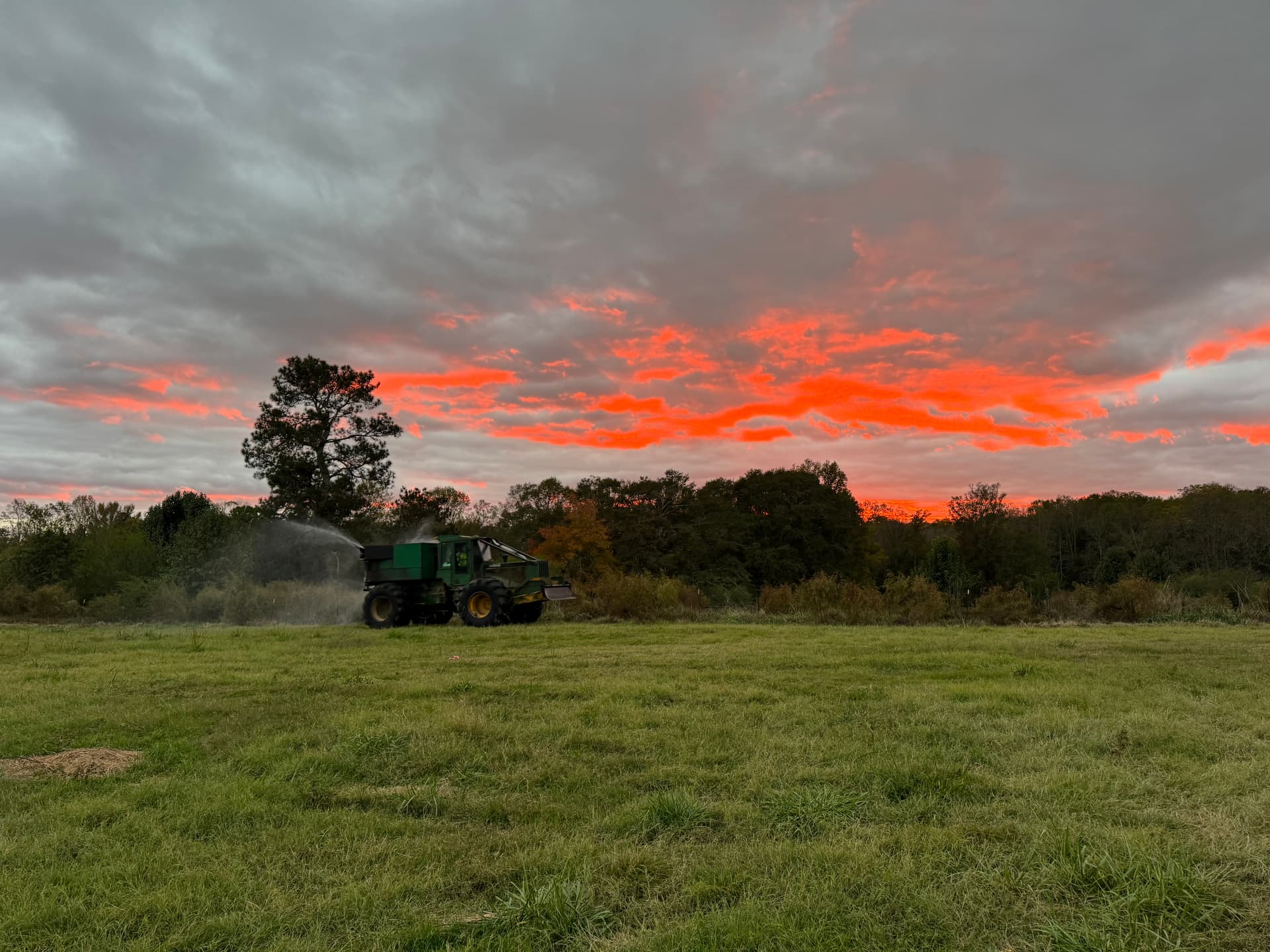 Chemical site preparation and herbicide application services for forestry in Georgia, Alabama, and Florida