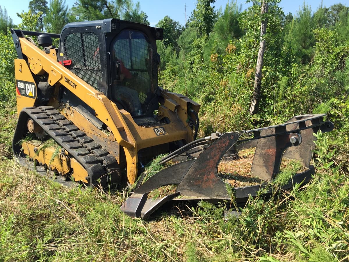 Forest Management Plans background