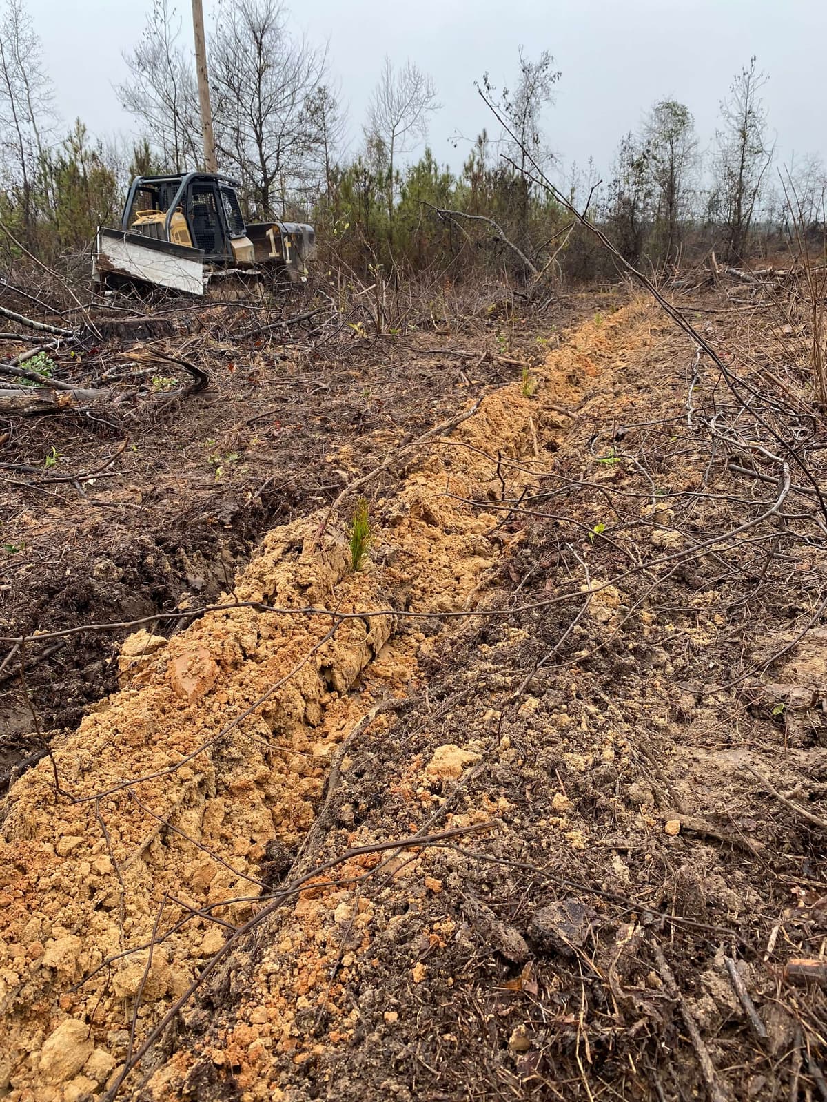 Mechanical Site Preparation background