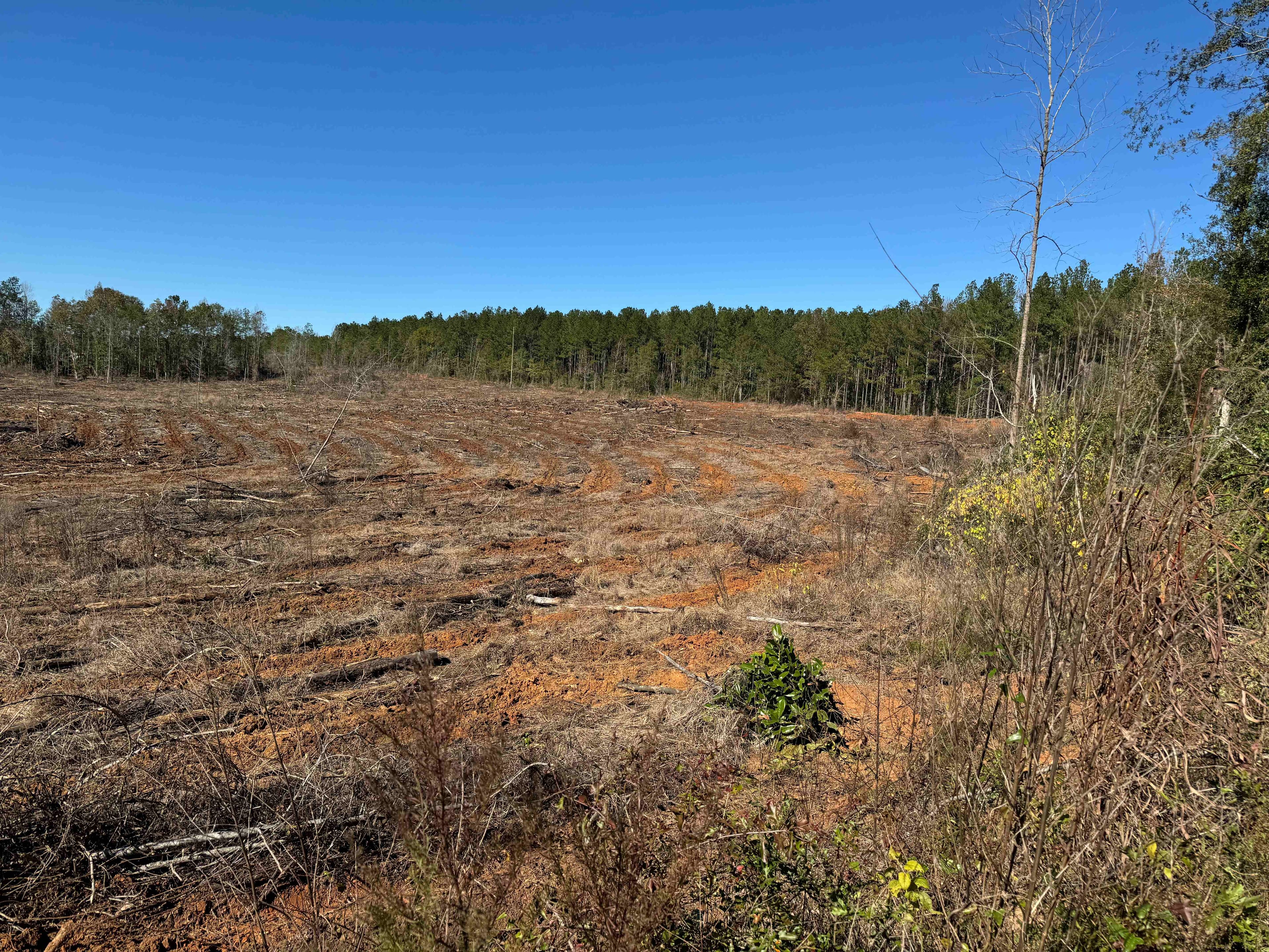 Why Choose Us Background