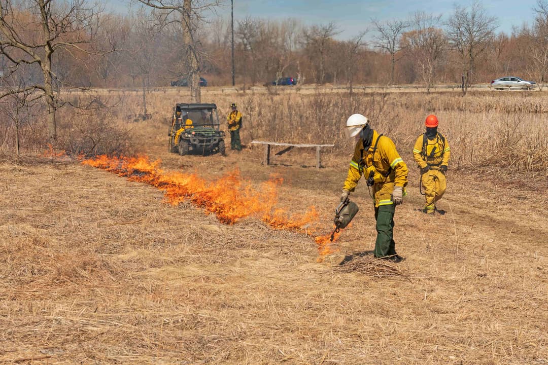 Prescribed Burning - Professional fencing services in Northwest Florida