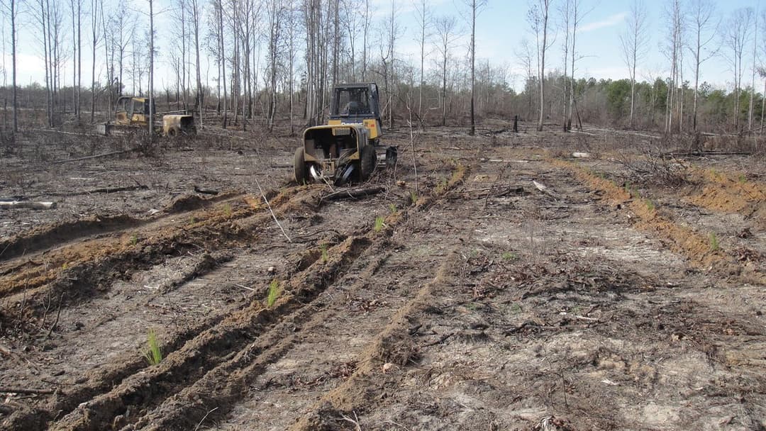Machine Tree Planting - Professional fencing services in Northwest Florida